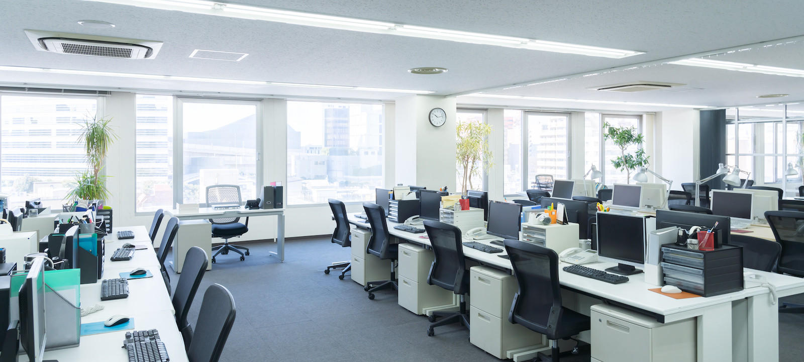 千代田区のIT企業ステイフリーのステイフリーについて